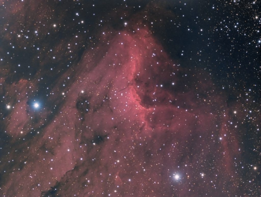 IC5070: Pelican Nebula