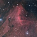 IC5070: Pelican Nebula